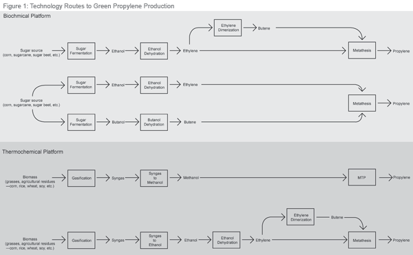 bmm.nov09.figure1